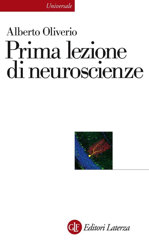 Large e8d554f0ebf93597e2a9e5a59c1a9398701102