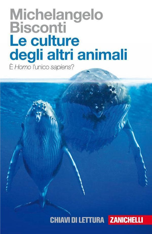 Large fe4841dfad58f474e60ff15756421803a1fb2b