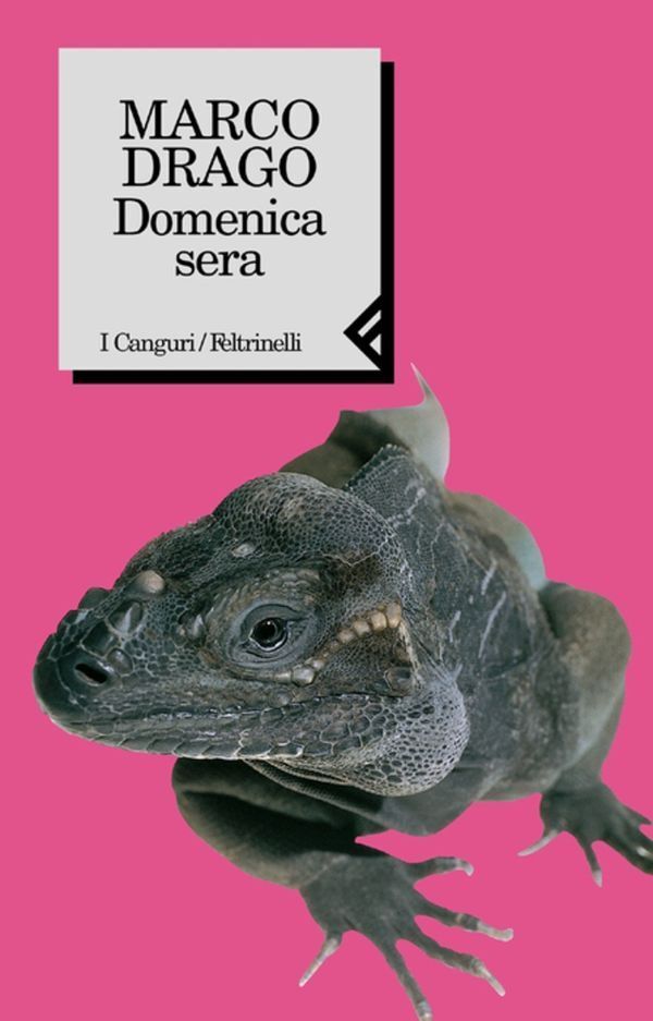 Large e03d61ca2aa4fc1ac293754fc43d109c682498