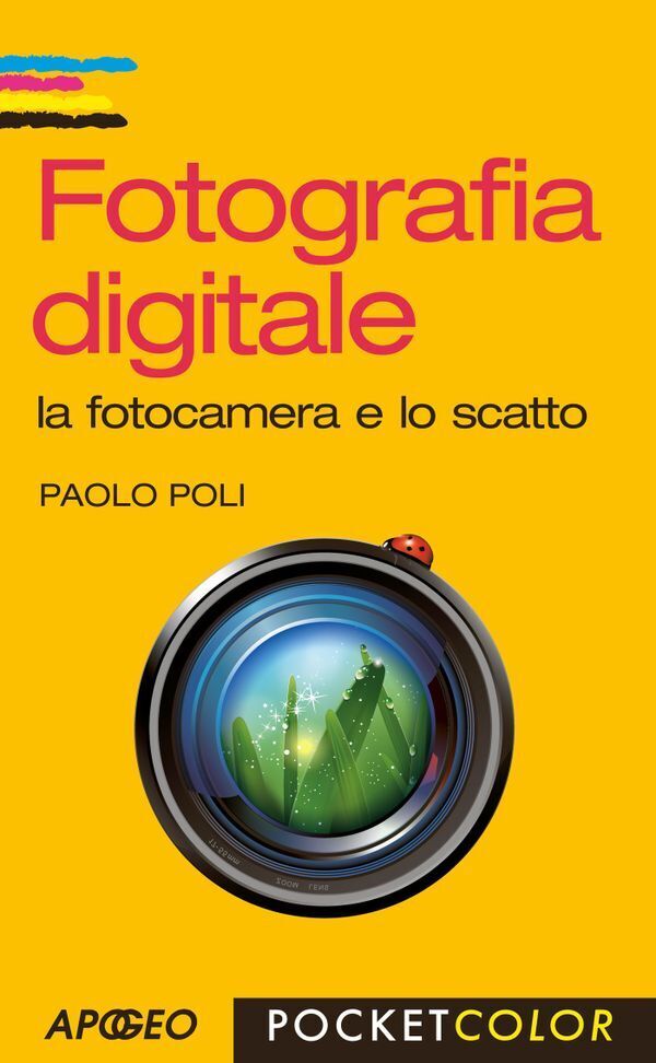 Large fcdfc81113f1d2c52235addbaafa0b8837bcc6