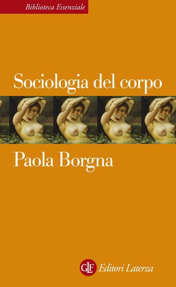 Large d686cdc1b7e8ecba50a9af88e780a6f40d3b50