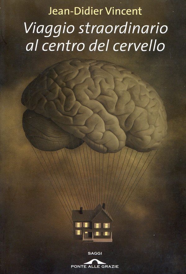 Large c709eaf4aa19eec87bd1d5f6beb1d1ac759c1e