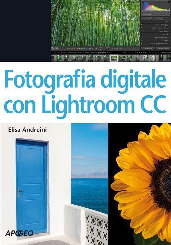 Large c23fbe322490278fa9f62b59fa0ec7162c56d9
