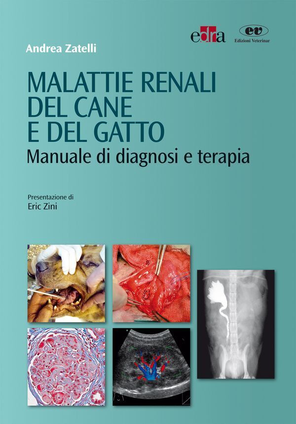 Large 8378f8d241ad539e204d014b06076c138dc381