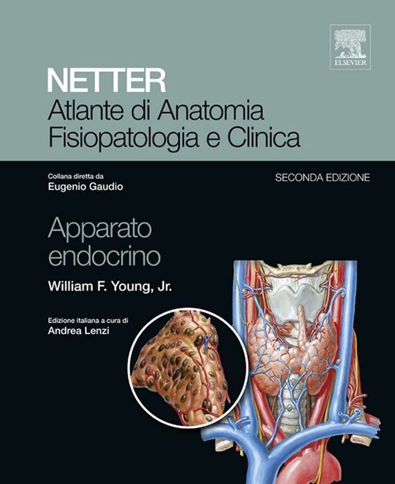 Large a0ef732cfbe9817cc252ed9807f3b330b811d0
