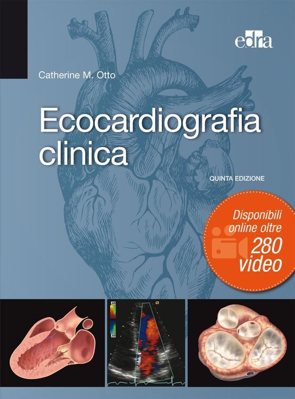 Large d3aabea3bf70779b74de0ec6bce14e2d1daf59