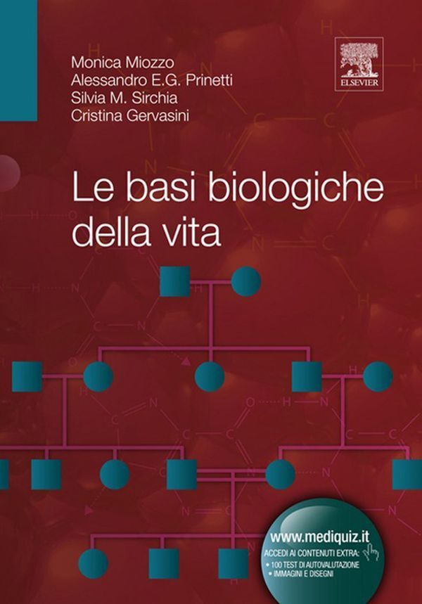 Large 5ab19bb05a6ff87b4928d6458695396d4fd682