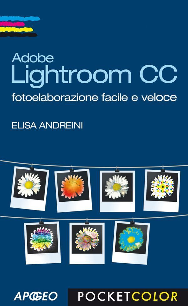 Large a80d17169d45cda9ed7cec147de84a6b860127