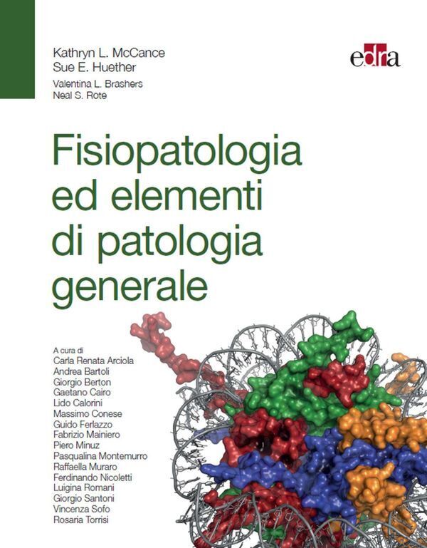 Large efd20c9030801d402b2edf385c4cbf8d566a7e