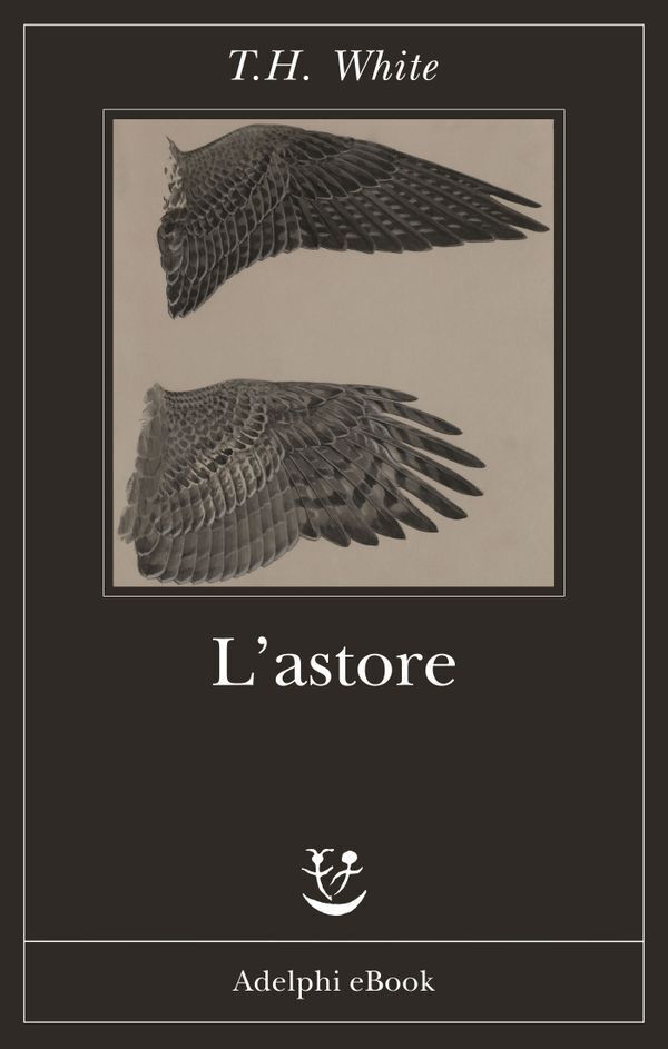 Large f3e8210b0e53c06d1f32e76d23cf2b1fff3b5c
