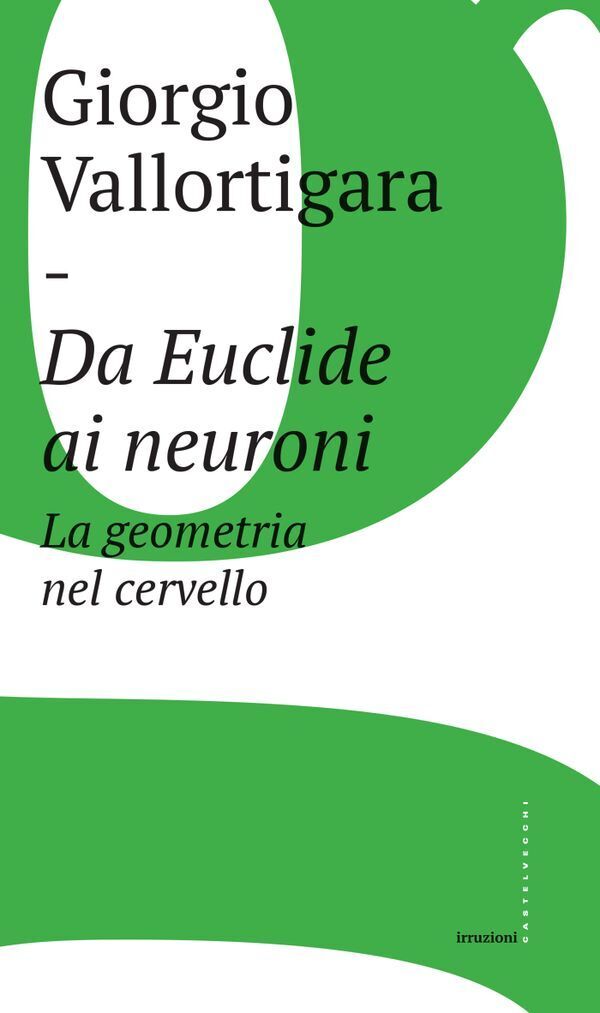 Large 0dff31e06c855428f6790d14a85e05be5d394c