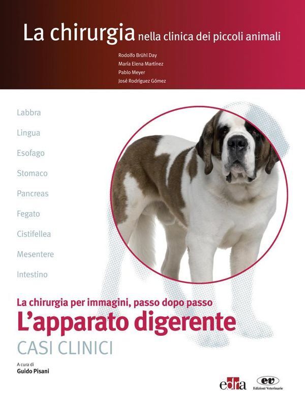 Large b64ff5cff186bd8c029c7b9da4e384f9b112f6