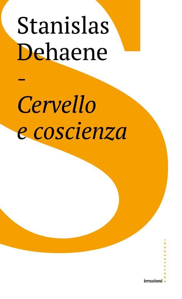 Large 7c267582c46562bffea06f79aa65d1fe3ba384