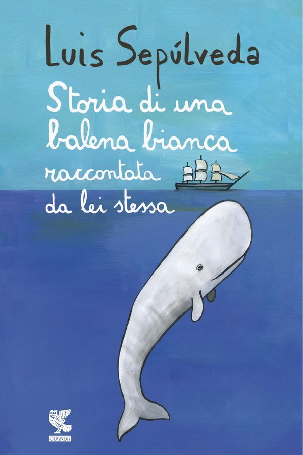 Large bbacb86518e437d43372e678f5821b3f725ce9
