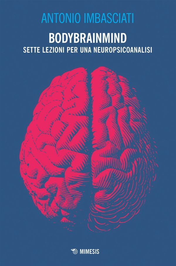 Large 7c6ab2b161ea9d821f049bb762da135abf45ad
