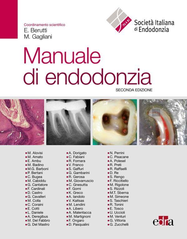 Large a9e277756840de7d4cc1ae476c0070e9d63891
