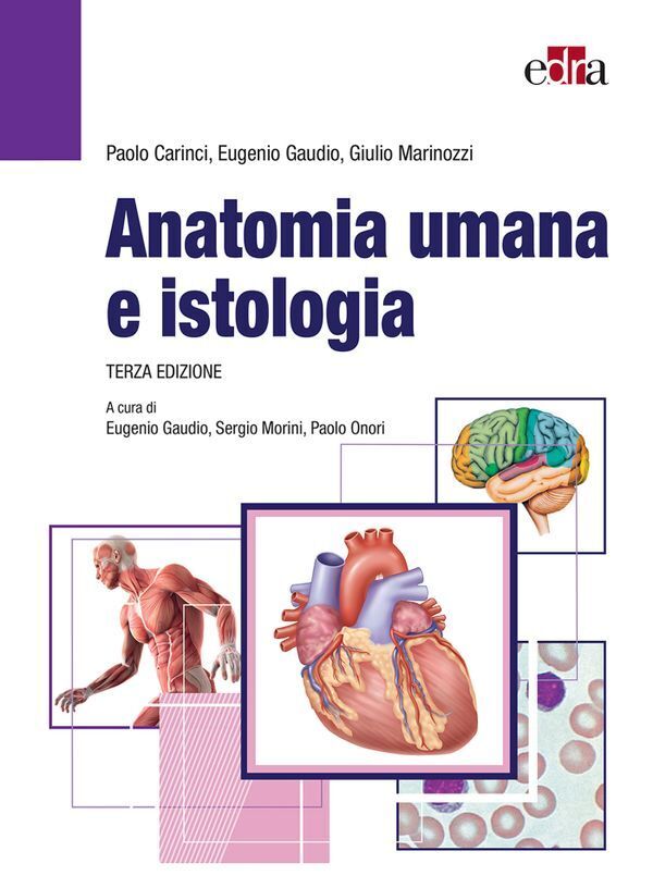 Large f85e024df866e0f47e4cc15679b832e25a7cc8