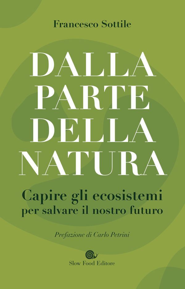Large db364eff9f772f6d8fcbe584a1f0ee06d9d74c