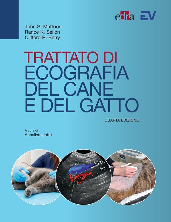Large e7c778a9ee13dada1a1d508de5eea0c15b2cb5