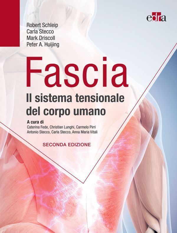 Large 22ad9043358cdbaacbe6201f29f5de9d559040