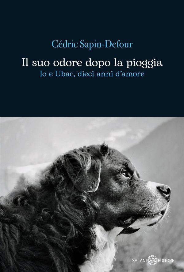 Large dff7bbf244c8f74bbd55e3cdb752190281957f