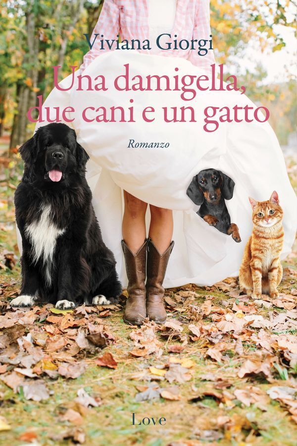 Large 3f05f0a4a3de113fe6139e975daa0516fa61f8