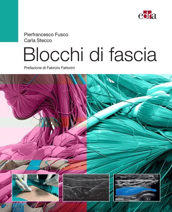 Large c82ee5ae2ffaa835423b7a97ced35e2fca3a51