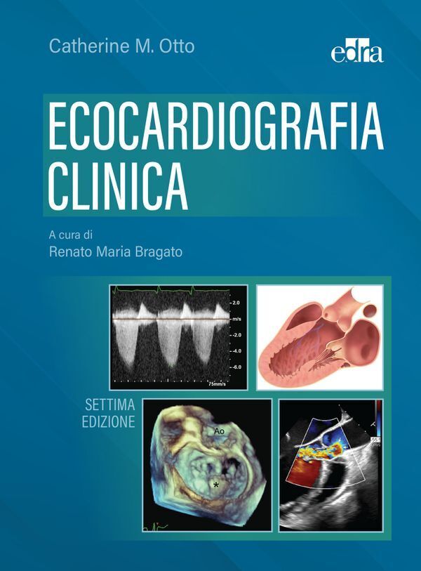 Large 76ff7daac6d63f1be0901d323a6f5aac26cb88