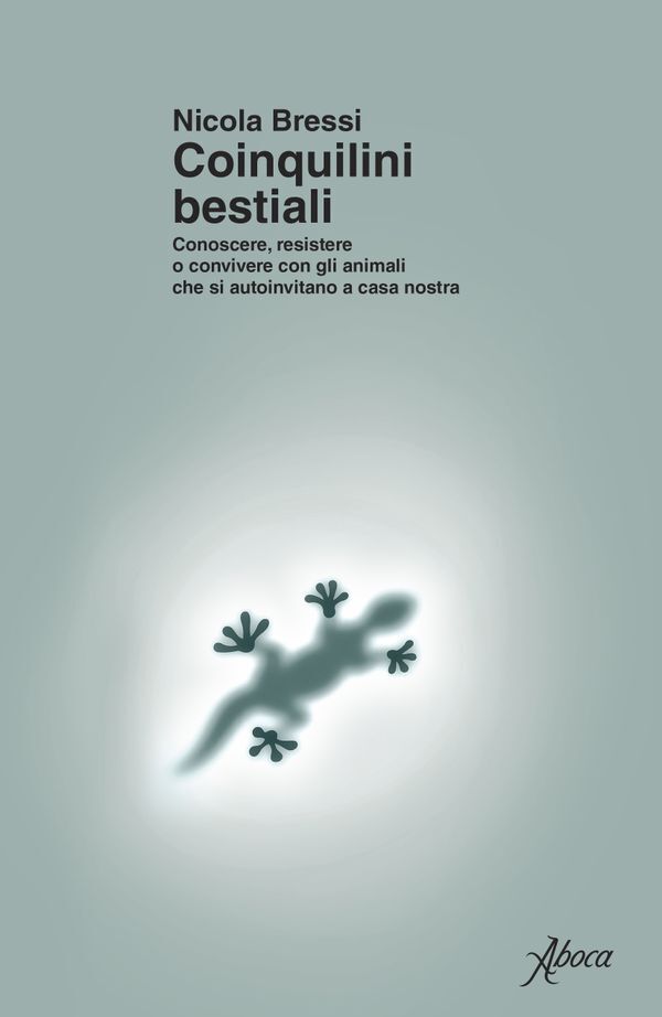 Large 8dfe11717ba2f342f22ab4f18c333c99b2230c