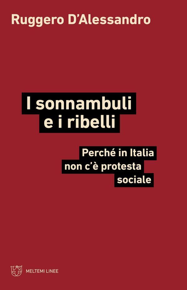 Large 62826b72737a545a79a74c20f3b14d28f0b77a